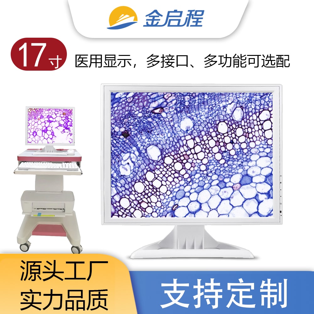 17寸正屏显示器 | 医疗检查器械内窥镜定格放大多接口多功能